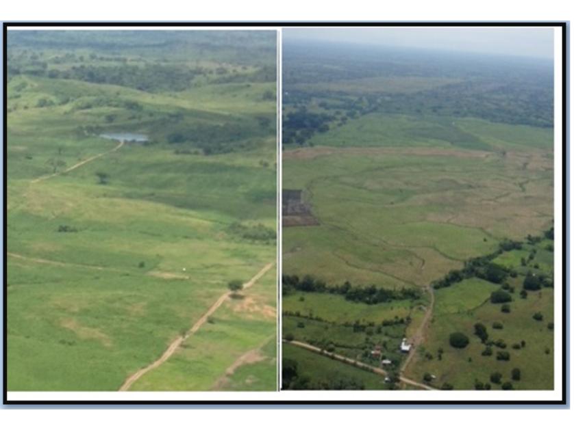 Vendo finca agrÃ­cola en Balzar 9164 hectÃ¡reas dotada de sistema de riego de primer orden
