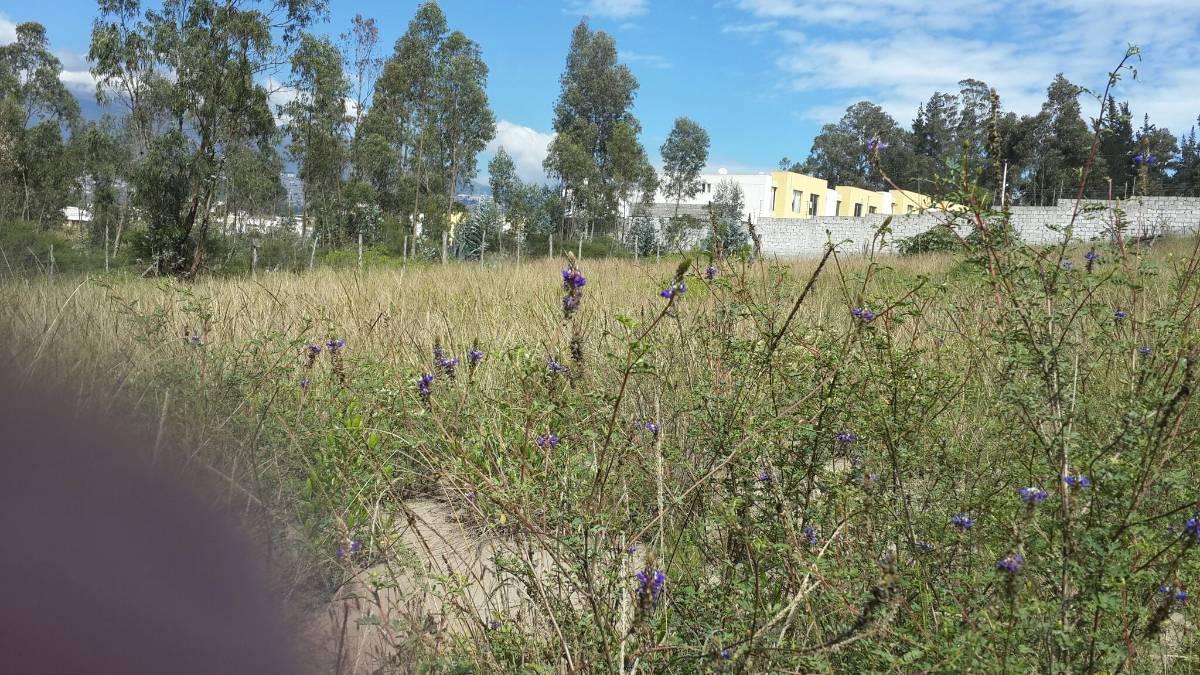 Terreno en Nayon 10.200 m Ideal Urbanizacion Alicia Santos