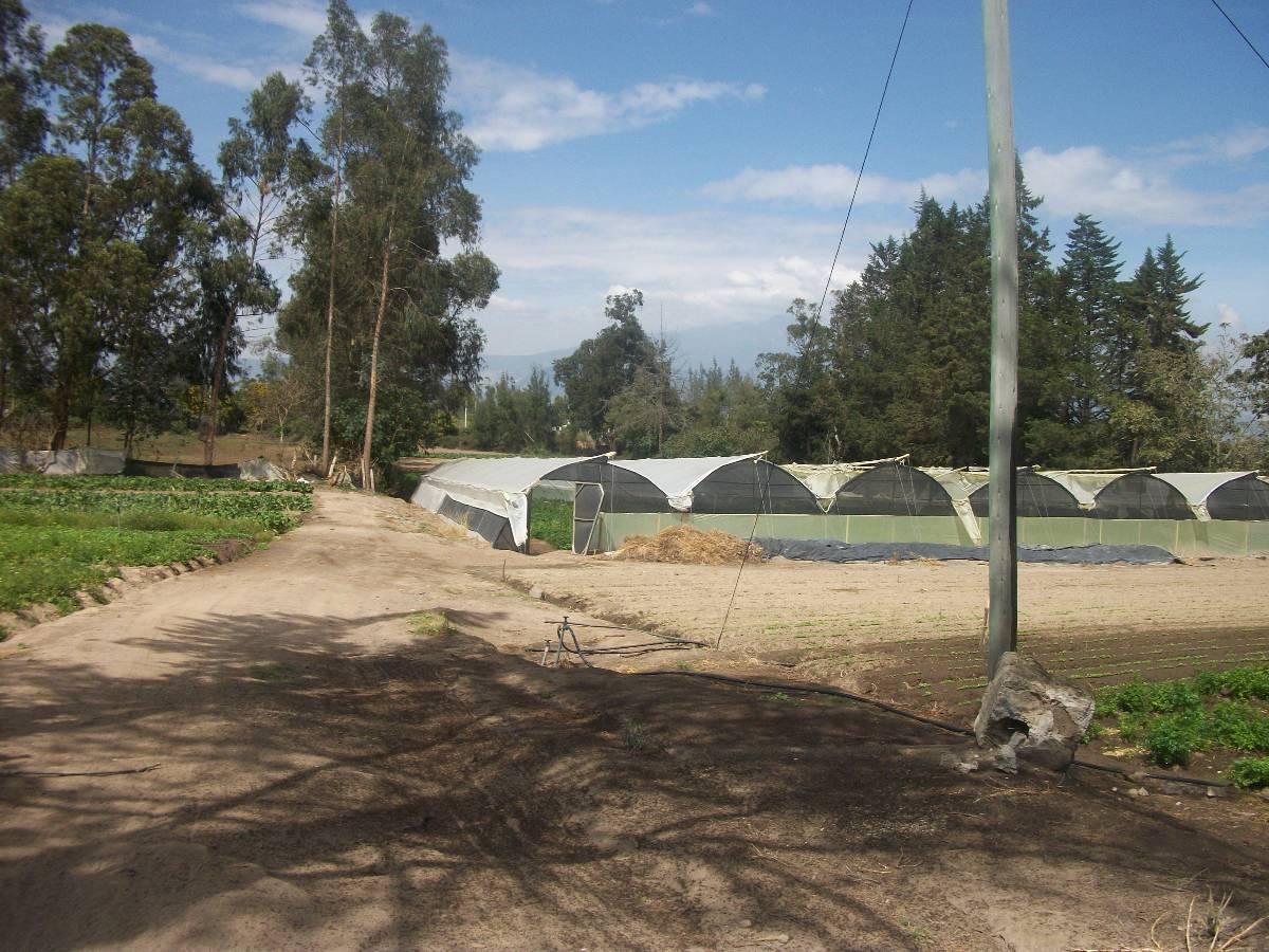 Excelente Terreno en Tababela Para Hotel o Bodegas a 5 Minutos del Aeropuerto