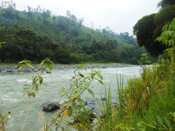 Finca en Santo Domingo