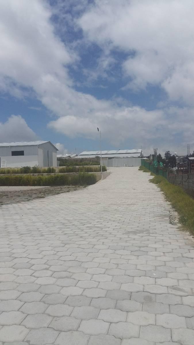 Rento 1750 Mtrs Para Exhibicion Carros Maquinaria Pesada